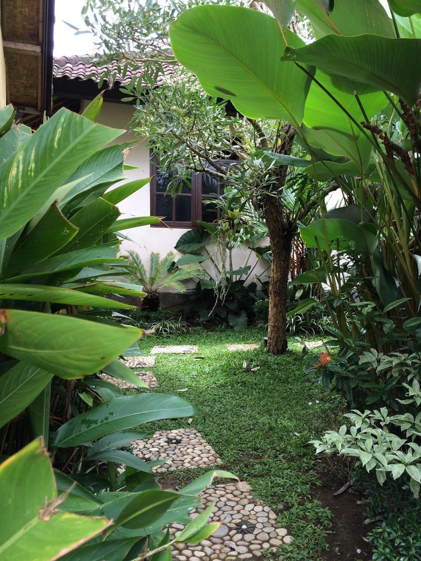 Uma Dewi Guest House Ουμπούντ Εξωτερικό φωτογραφία